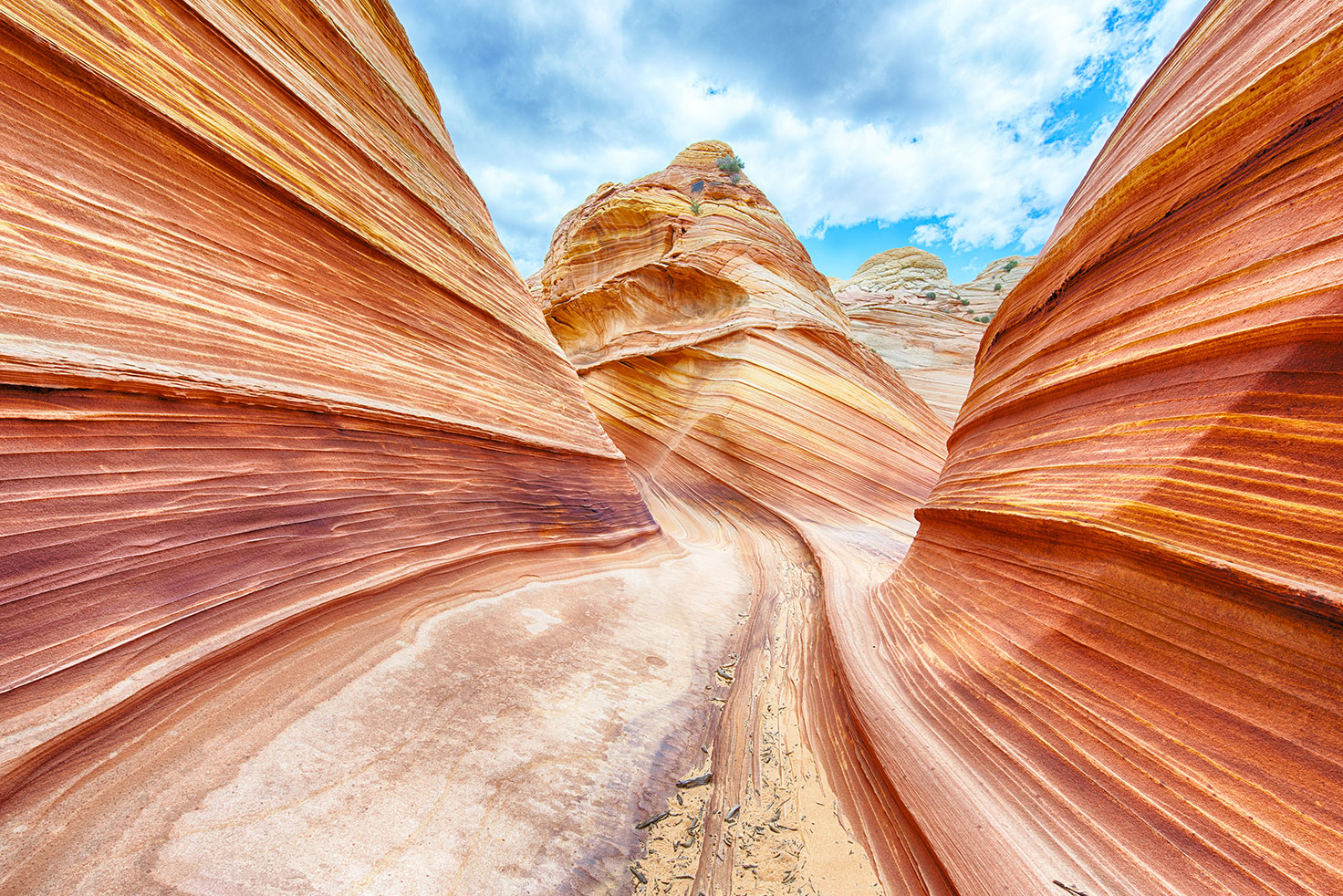 North Coyote Buttes/The Wave